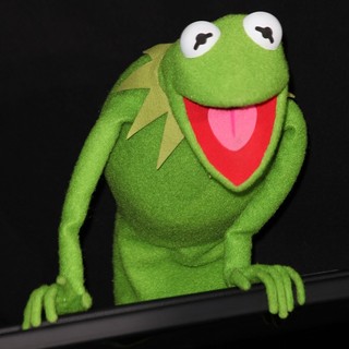The Premiere of Walt Disney Pictures' The Muppets - Arrivals