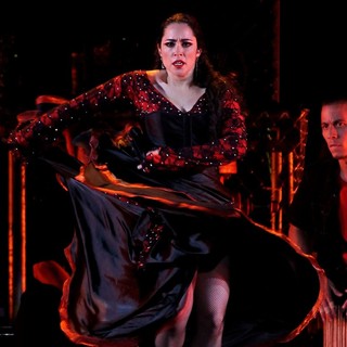 Q Viva Show