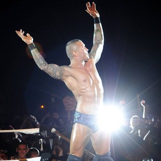 Randy Orton in WWE RAW Wrestling Superstars