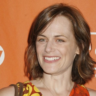 Sarah Clarke in Turner Broadcasting's TCA Summer Party - Arrivals