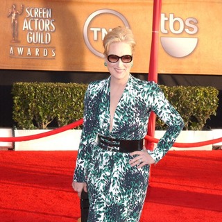 Meryl Streep at 16th Annual Screen Actors Guild Awards - Arrivals