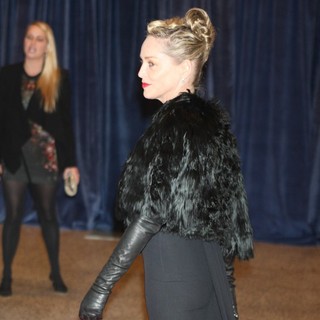 Sharon Stone in 2013 White House Correspondents' Association Dinner - Arrivals - sharon-stone-2013-white-house-correspondents-association-dinner-03