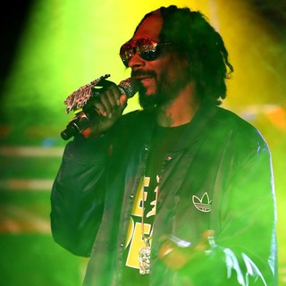 Snoop Dogg Performing Live in Concert