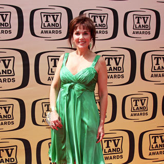 Stepfanie Kramer in The TV Land Awards 2010
