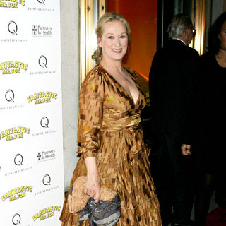 Meryl Streep at The New York premiere of 'Fantastic Mr Fox'