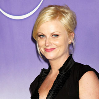 Amy Poehler at The NBC Universal Winter Press Tour cocktail party