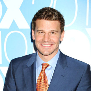 David Boreanaz in FOX Upfront Afterparty - Arrivals - wenn2850629