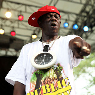 Flavor Flav in C.P.F. Presents Summer Stage at Rumsey Play Field with Blitz The Ambassador and Public Enemy