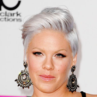 Pink in 2010 American Music Awards - Arrivals - wenn3110884