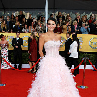 Angie Harmon in The 17th Annual Screen Actors Guild Awards (SAG Awards 2011) - Arrivals - wenn3187349