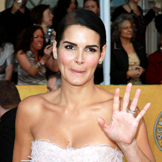Angie Harmon in The 17th Annual Screen Actors Guild Awards (SAG Awards 2011) - Arrivals