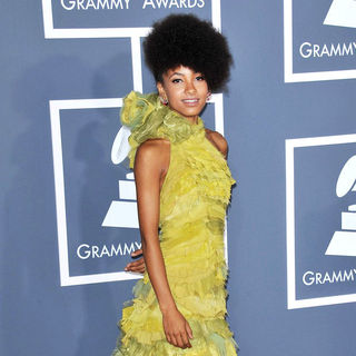 Esperanza Spalding in The 53rd Annual GRAMMY Awards - Red Carpet Arrivals