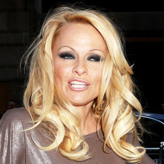 Pamela Anderson in PETA Honorary Pamela Anderson Promotes A New Bill to Replace New York City's Horse Drawn Carriages