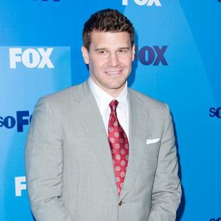 David Boreanaz in 2011 FOX Upfront Presentation - Arrivals - wenn3345293
