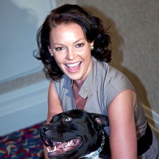 Katherine Heigl in Last Chance for Animals and The Jason Debus Heigl Foundation Press Conference