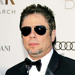 Benicio Del Toro in 2010 Cannes International Film Festival - Day 9 - amfAR's Cinema Against AIDS Gala - Arrivals
