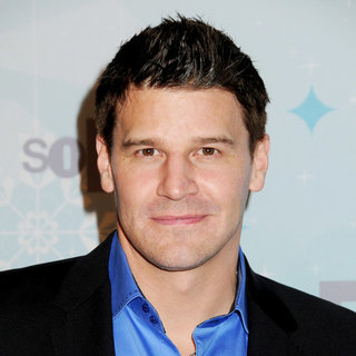 David Boreanaz in The FOX TCA Winter 2011 Party - Arrivals - wenn5593752