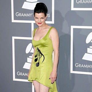 The 53rd Annual GRAMMY Awards - Red Carpet Arrivals