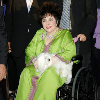 Elizabeth Taylor in Elizabeth Taylor on Her Way to CNN for An Interview with Larry King