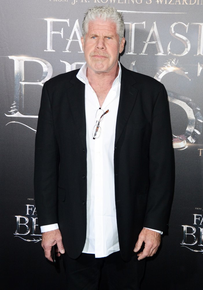 ron perlman in fantastic beasts ron perlman picture 58 fantastic beasts and where to ron perlman in fantastic beasts ron perlman picture 58 fantastic beasts and where to
