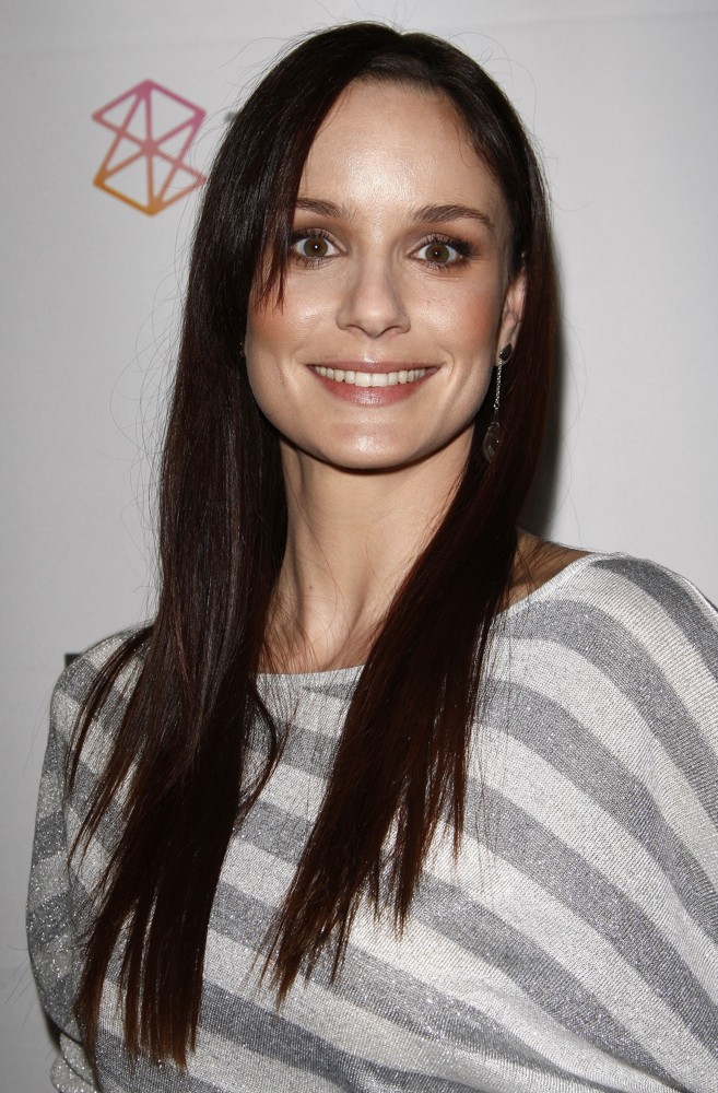 Sarah Wayne Callies