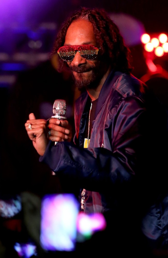 Snoop Dogg Picture 161 Snoop Dogg Performing Live in Concert