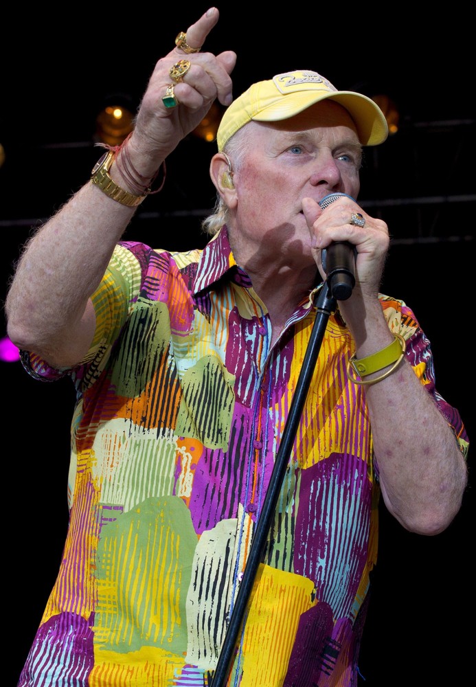 The Beach Boys