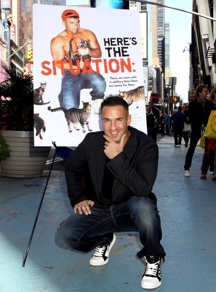 The Situation
