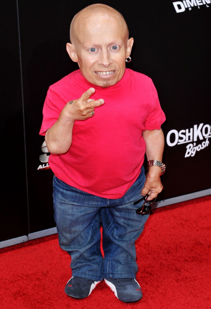 verne troyer verne troyer