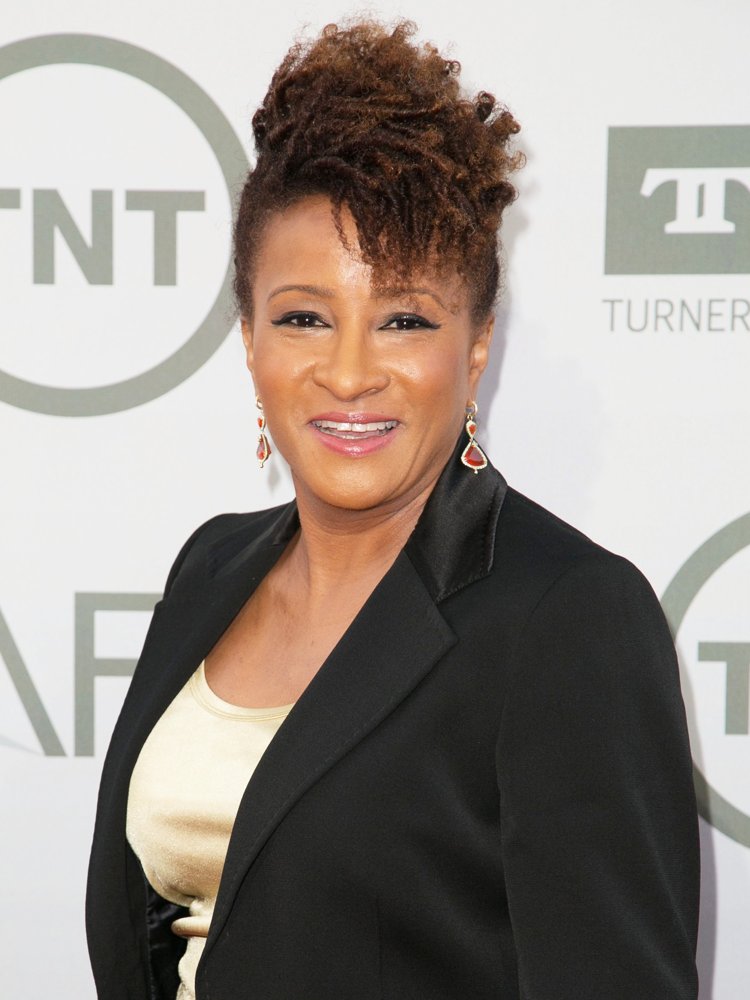 Wanda Sykes Picture 11 2014 AFI Life Achievement Award Gala Tribute Wanda Sykes Picture 11 2014 AFI Life Achievement Award Gala Tribute