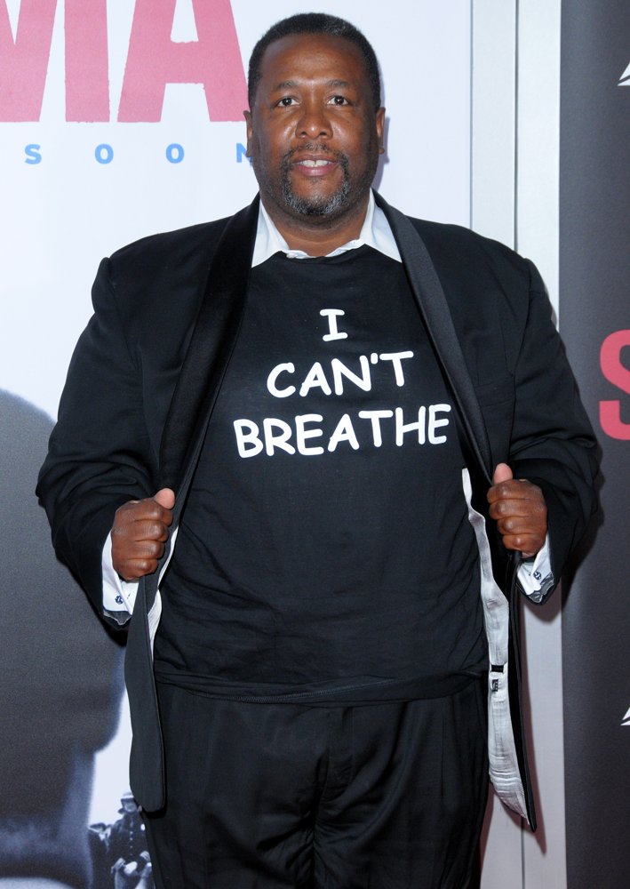 wendell pierce Picture 3 - New York Premiere of Selma - Red Carpet Arrivals