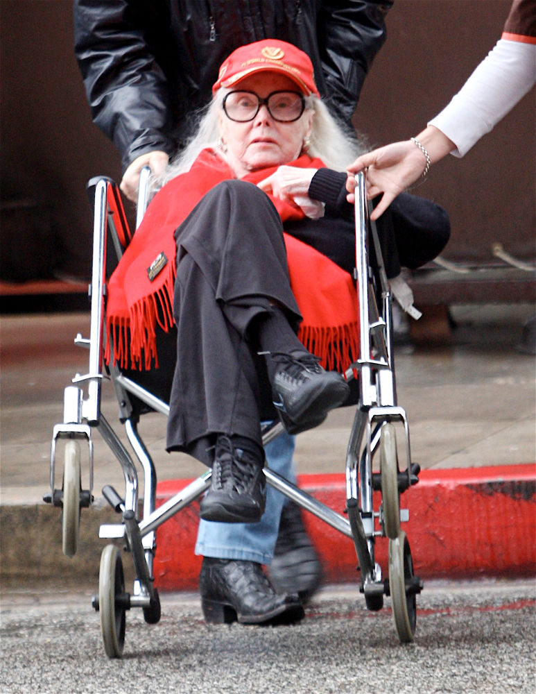 Zsa Zsa Gabor#39;s Leg Not zsa zsa gabor leg. Zsa Zsa Gabor#39;s Leg Not