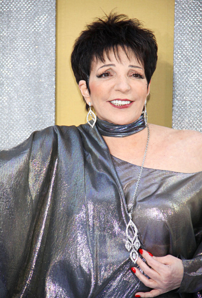 Liza Minnelli - Picture Colection