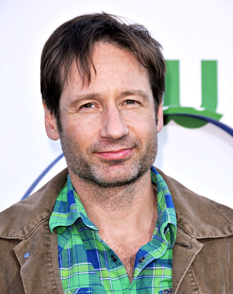 David Duchovny - Wallpaper Colection