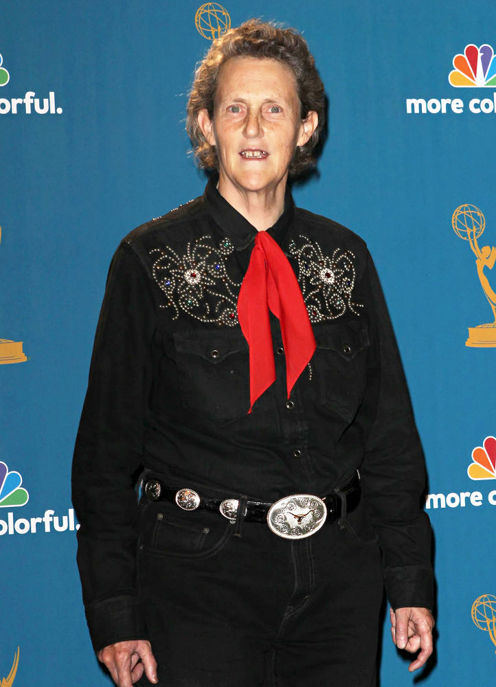 The 62nd Annual Primetime Emmy Awards - Press Room