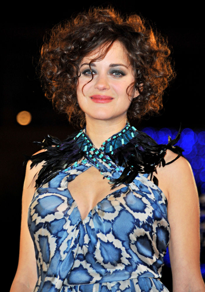 marion cotillard reportedly cast in 