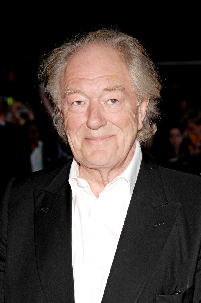 'Harry Potter' Star Michael Gambon Tapped for 'The Casual Vacancy