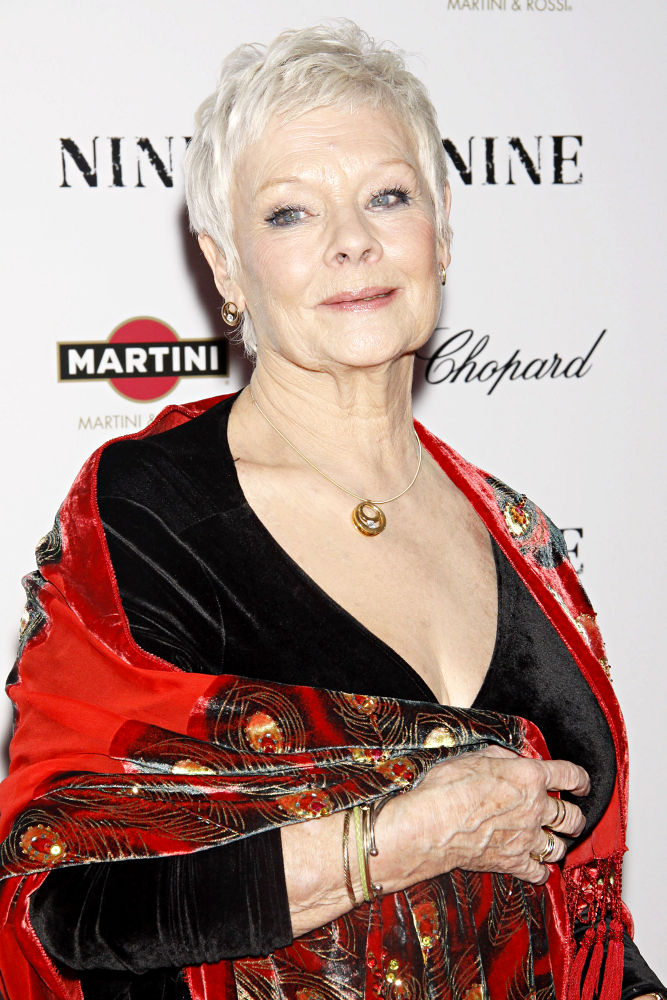 Judi Dench - Picture Actress