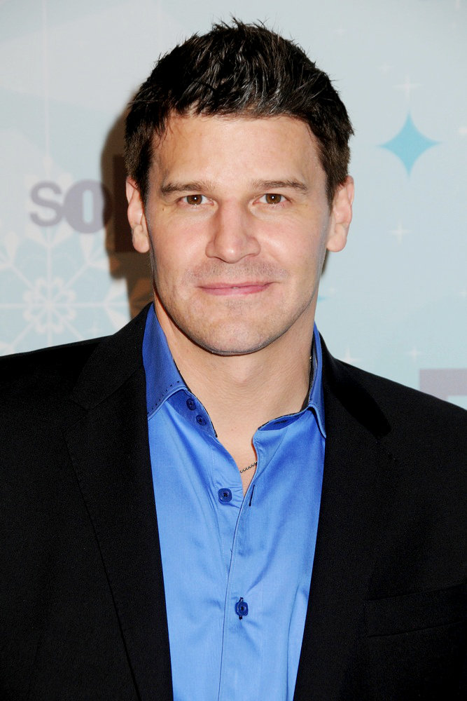 David Boreanaz