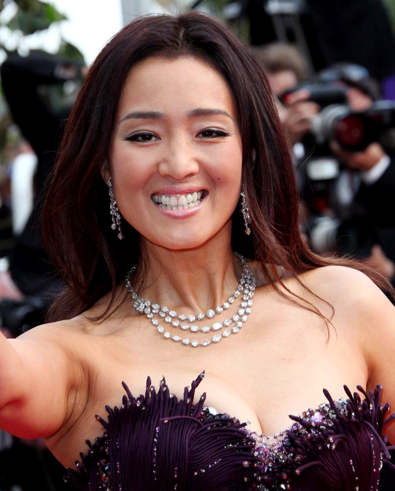 Gong Li Net Worth