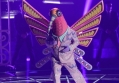 'The Masked Singer' Recap: Hummingbird Unmasked as Grammy-Nominated Singer 