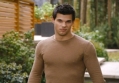 Taylor Lautner Blames 'Twilight' Role for His Body Image Issues 