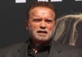 Arnold Schwarzenegger Not at Fault in Traffic Accident With Cyclist