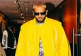Chris Brown's Fan Splits With Her Boyfriend After Singer Gives Her Lap Dance at Concert 
