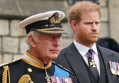 Prince Harry Worried He Would Be Axed From Royal Family Over Rumors Charles Was Not His Real Dad