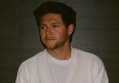 Niall Horan Considers Going to Therapy