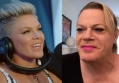 Pink Calls Out 'Hateful' Follower for Comparing Her to Transgender Comedian Eddie Izzard 