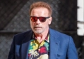 Arnold Schwarzenegger Burned Daughter's Shoes, Threw Son's Mattress When Losing His Patience