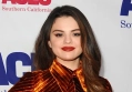 Selena Gomez Deemed 'Unrecognizable' After Debuting New Hair on Instagram