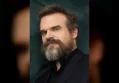 David Harbour Denies Harassment Claims Amid Anonymous Stranger Things Complaint
